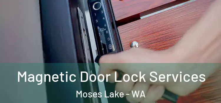 Magnetic Door Lock Services Moses Lake - WA