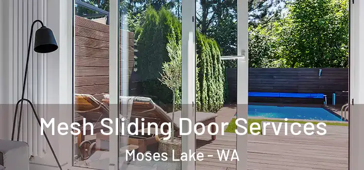 Mesh Sliding Door Services Moses Lake - WA